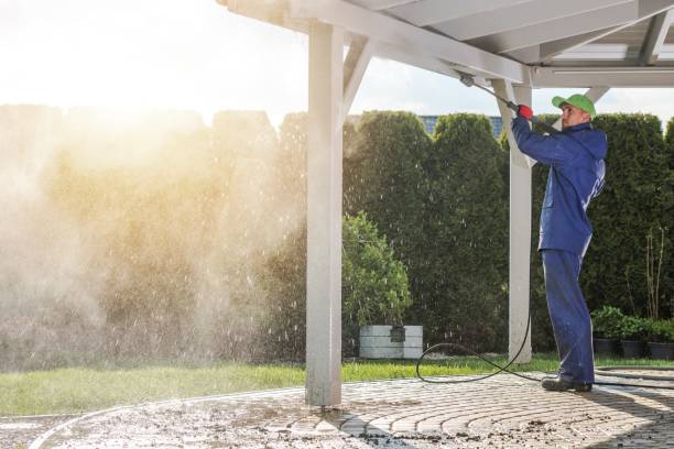  Paulding, OH Pressure Washing Pros