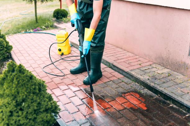 Best Solar Panel Cleaning  in Paulding, OH