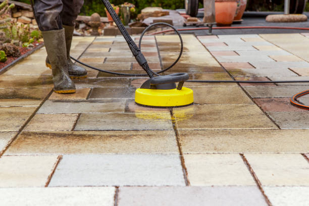 Best Pre-Holiday Cleaning  in Paulding, OH