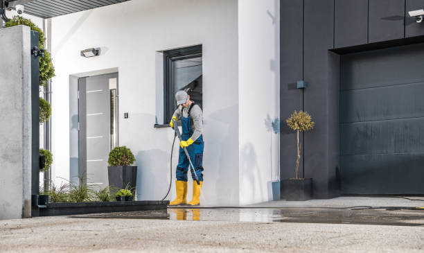 Best Animal Enclosure Cleaning  in Paulding, OH
